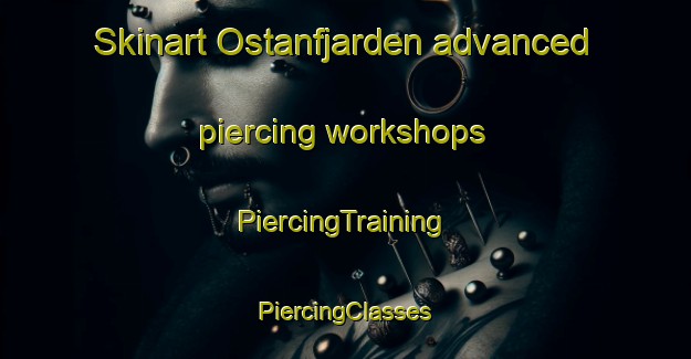 Skinart Ostanfjarden advanced piercing workshops | #PiercingTraining #PiercingClasses #SkinartTraining-Sweden