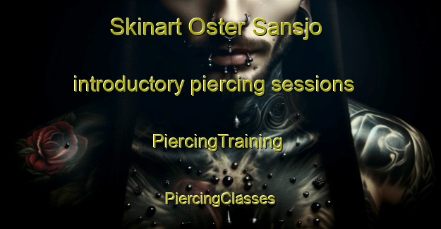 Skinart Oster Sansjo introductory piercing sessions | #PiercingTraining #PiercingClasses #SkinartTraining-Sweden