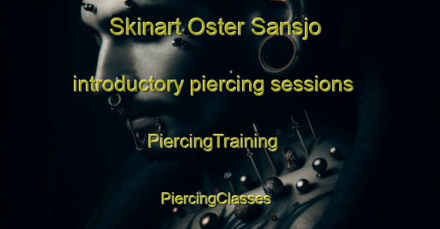 Skinart Oster Sansjo introductory piercing sessions | PiercingTraining | PiercingClasses | SkinartTraining-Sweden