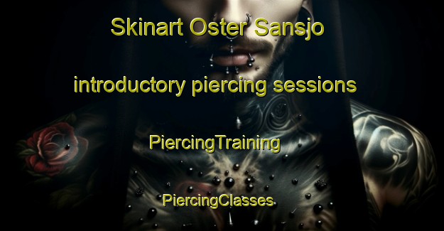 Skinart Oster Sansjo introductory piercing sessions | PiercingTraining | PiercingClasses | SkinartTraining-Sweden