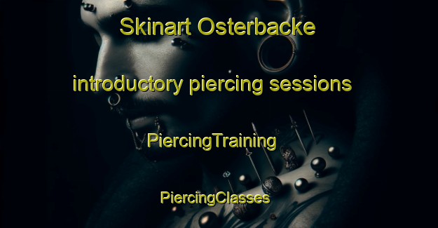 Skinart Osterbacke introductory piercing sessions | PiercingTraining | PiercingClasses | SkinartTraining-Sweden