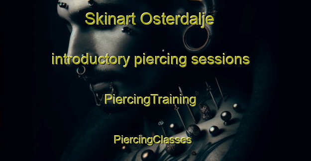 Skinart Osterdalje introductory piercing sessions | PiercingTraining | PiercingClasses | SkinartTraining-Sweden