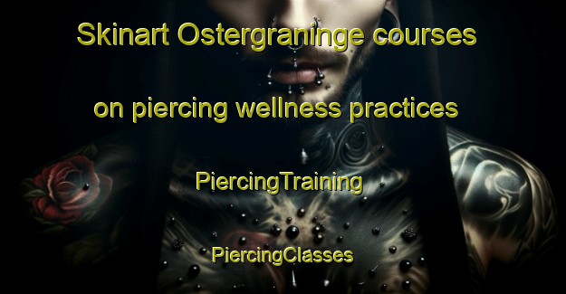 Skinart Ostergraninge courses on piercing wellness practices | #PiercingTraining #PiercingClasses #SkinartTraining-Sweden