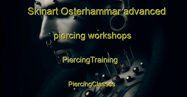 Skinart Osterhammar advanced piercing workshops | PiercingTraining | PiercingClasses | SkinartTraining-Sweden