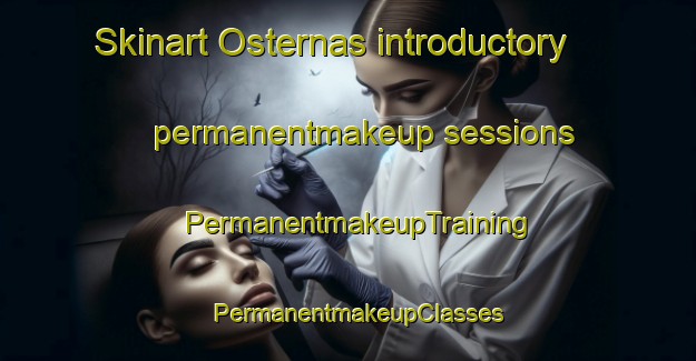 Skinart Osternas introductory permanentmakeup sessions | PermanentmakeupTraining | PermanentmakeupClasses | SkinartTraining-Sweden