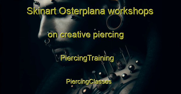 Skinart Osterplana workshops on creative piercing | PiercingTraining | PiercingClasses | SkinartTraining-Sweden
