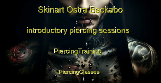 Skinart Ostra Backabo introductory piercing sessions | PiercingTraining | PiercingClasses | SkinartTraining-Sweden