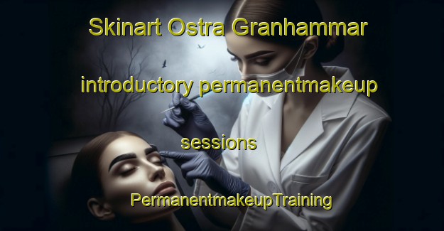 Skinart Ostra Granhammar introductory permanentmakeup sessions | #PermanentmakeupTraining #PermanentmakeupClasses #SkinartTraining-Sweden