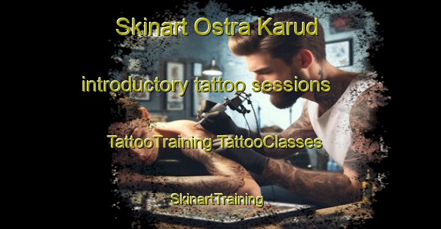 Skinart Ostra Karud introductory tattoo sessions | #TattooTraining #TattooClasses #SkinartTraining-Sweden