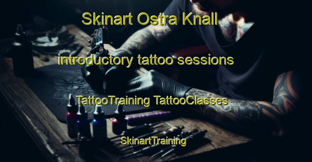 Skinart Ostra Knall introductory tattoo sessions | #TattooTraining #TattooClasses #SkinartTraining-Sweden