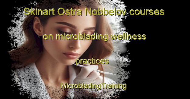 Skinart Ostra Nobbelov courses on microblading wellness practices | #MicrobladingTraining #MicrobladingClasses #SkinartTraining-Sweden