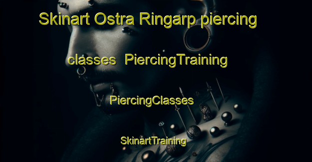 Skinart Ostra Ringarp piercing classes | PiercingTraining | PiercingClasses | SkinartTraining-Sweden