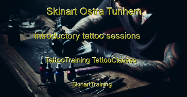 Skinart Ostra Tunhem introductory tattoo sessions | #TattooTraining #TattooClasses #SkinartTraining-Sweden