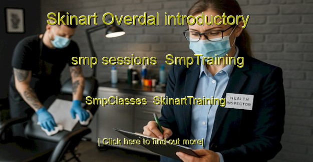 Skinart Overdal introductory smp sessions | SmpTraining | SmpClasses | SkinartTraining-Sweden