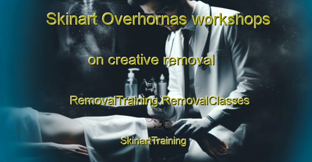 Skinart Overhornas workshops on creative removal | #RemovalTraining #RemovalClasses #SkinartTraining-Sweden