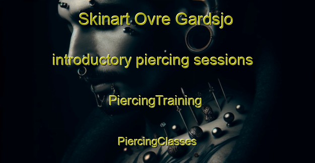 Skinart Ovre Gardsjo introductory piercing sessions | #PiercingTraining #PiercingClasses #SkinartTraining-Sweden