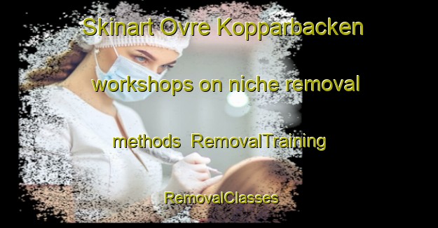 Skinart Ovre Kopparbacken workshops on niche removal methods | RemovalTraining | RemovalClasses | SkinartTraining-Sweden