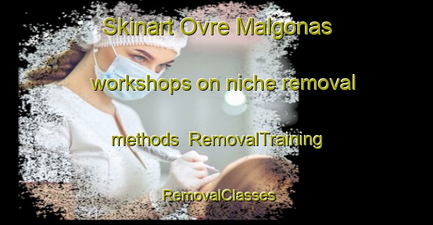 Skinart Ovre Malgonas workshops on niche removal methods | RemovalTraining | RemovalClasses | SkinartTraining-Sweden