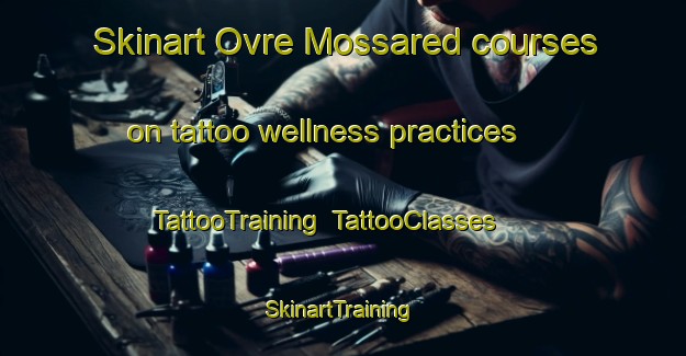 Skinart Ovre Mossared courses on tattoo wellness practices | TattooTraining | TattooClasses | SkinartTraining-Sweden