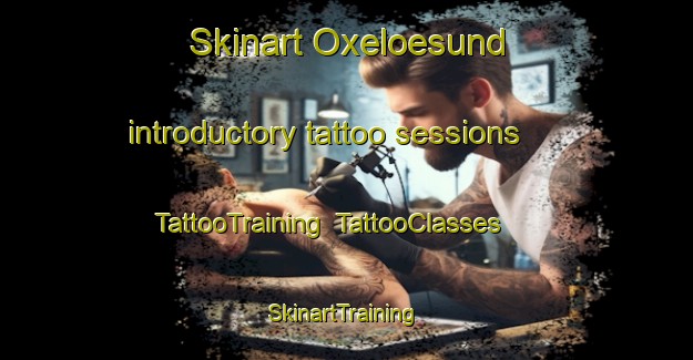 Skinart Oxeloesund introductory tattoo sessions | TattooTraining | TattooClasses | SkinartTraining-Sweden