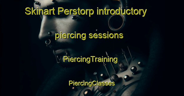 Skinart Perstorp introductory piercing sessions | #PiercingTraining #PiercingClasses #SkinartTraining-Sweden