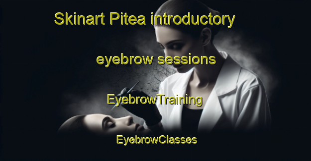 Skinart Pitea introductory eyebrow sessions | EyebrowTraining | EyebrowClasses | SkinartTraining-Sweden