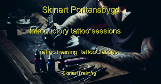 Skinart Pontansbygd introductory tattoo sessions | #TattooTraining #TattooClasses #SkinartTraining-Sweden