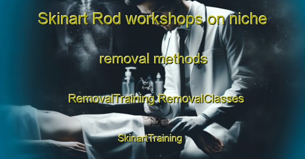 Skinart Rod workshops on niche removal methods | #RemovalTraining #RemovalClasses #SkinartTraining-Sweden