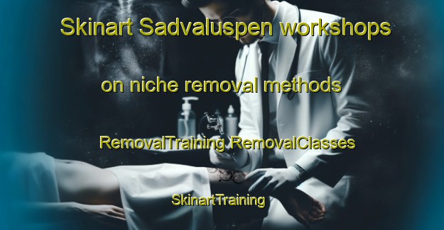 Skinart Sadvaluspen workshops on niche removal methods | #RemovalTraining #RemovalClasses #SkinartTraining-Sweden