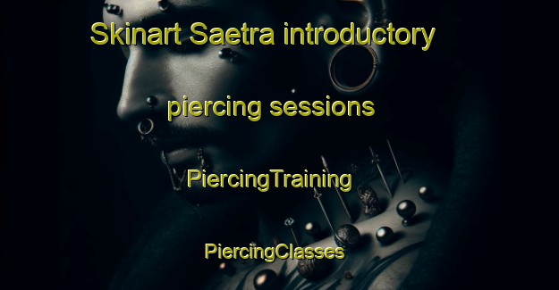 Skinart Saetra introductory piercing sessions | PiercingTraining | PiercingClasses | SkinartTraining-Sweden