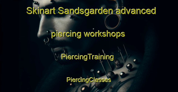 Skinart Sandsgarden advanced piercing workshops | #PiercingTraining #PiercingClasses #SkinartTraining-Sweden