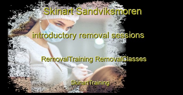 Skinart Sandviksmoren introductory removal sessions | #RemovalTraining #RemovalClasses #SkinartTraining-Sweden