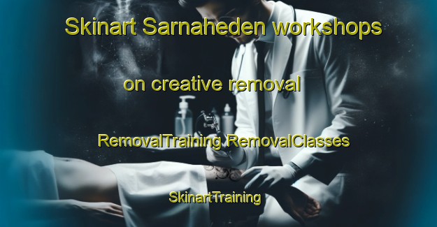 Skinart Sarnaheden workshops on creative removal | #RemovalTraining #RemovalClasses #SkinartTraining-Sweden