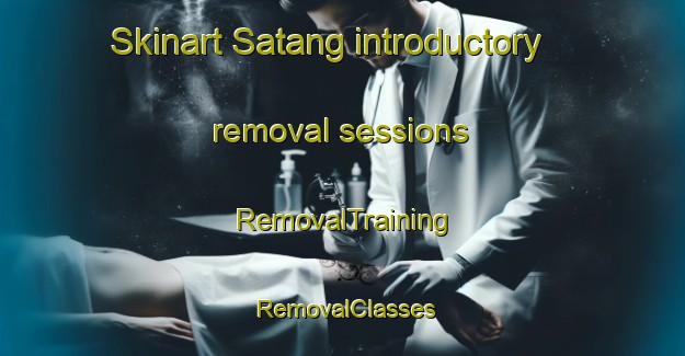 Skinart Satang introductory removal sessions | RemovalTraining | RemovalClasses | SkinartTraining-Sweden