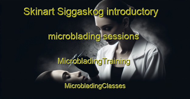 Skinart Siggaskog introductory microblading sessions | #MicrobladingTraining #MicrobladingClasses #SkinartTraining-Sweden