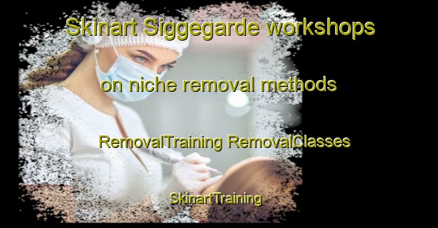 Skinart Siggegarde workshops on niche removal methods | #RemovalTraining #RemovalClasses #SkinartTraining-Sweden