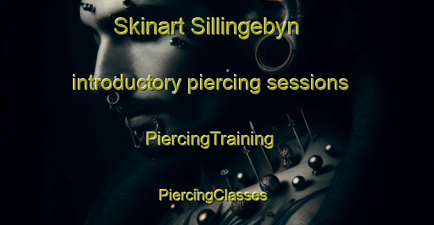 Skinart Sillingebyn introductory piercing sessions | PiercingTraining | PiercingClasses | SkinartTraining-Sweden