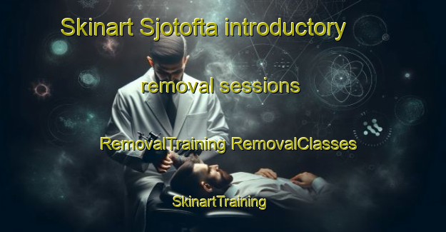 Skinart Sjotofta introductory removal sessions | #RemovalTraining #RemovalClasses #SkinartTraining-Sweden