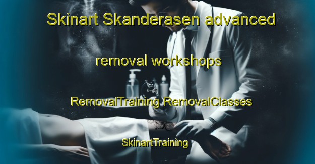 Skinart Skanderasen advanced removal workshops | #RemovalTraining #RemovalClasses #SkinartTraining-Sweden