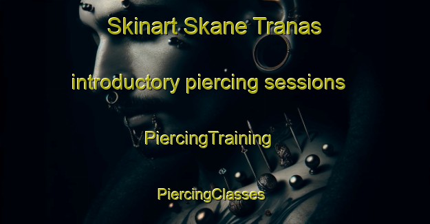 Skinart Skane Tranas introductory piercing sessions | PiercingTraining | PiercingClasses | SkinartTraining-Sweden