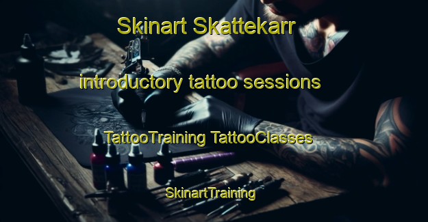 Skinart Skattekarr introductory tattoo sessions | #TattooTraining #TattooClasses #SkinartTraining-Sweden