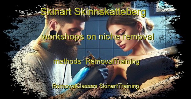 Skinart Skinnskatteberg workshops on niche removal methods | #RemovalTraining #RemovalClasses #SkinartTraining-Sweden