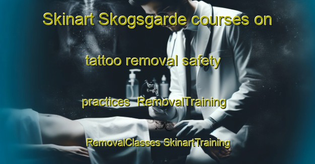 Skinart Skogsgarde courses on tattoo removal safety practices | #RemovalTraining #RemovalClasses #SkinartTraining-Sweden