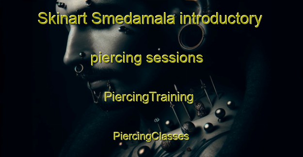 Skinart Smedamala introductory piercing sessions | #PiercingTraining #PiercingClasses #SkinartTraining-Sweden