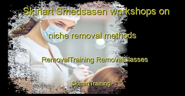 Skinart Smedsasen workshops on niche removal methods | #RemovalTraining #RemovalClasses #SkinartTraining-Sweden