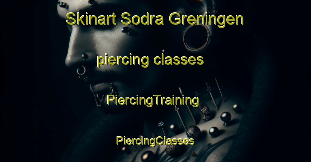 Skinart Sodra Greningen piercing classes | #PiercingTraining #PiercingClasses #SkinartTraining-Sweden