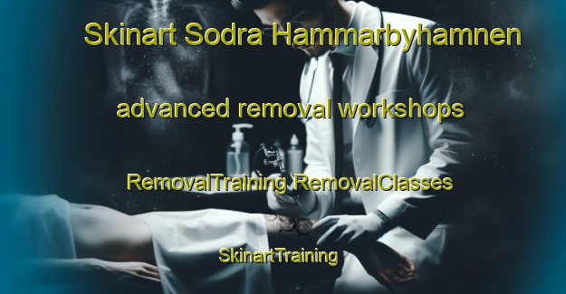 Skinart Sodra Hammarbyhamnen advanced removal workshops | #RemovalTraining #RemovalClasses #SkinartTraining-Sweden