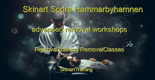 Skinart Sodra Hammarbyhamnen advanced removal workshops | #RemovalTraining #RemovalClasses #SkinartTraining-Sweden