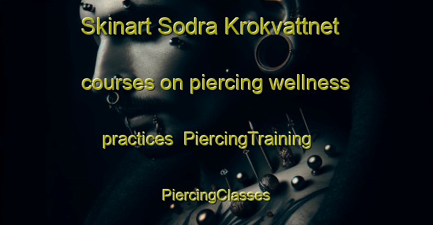 Skinart Sodra Krokvattnet courses on piercing wellness practices | #PiercingTraining #PiercingClasses #SkinartTraining-Sweden