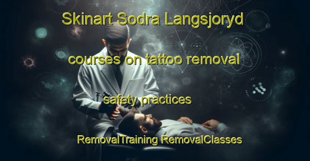 Skinart Sodra Langsjoryd courses on tattoo removal safety practices | #RemovalTraining #RemovalClasses #SkinartTraining-Sweden